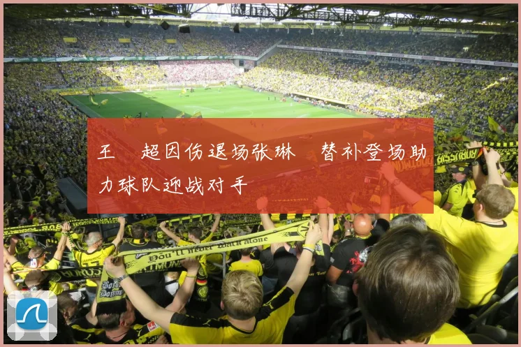 王燊超因伤退场张琳芃替补登场助力球队迎战对手
