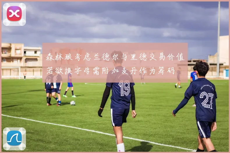 森林狼考虑兰德尔与里德交易价值若欲换字母需附加麦丹作为筹码