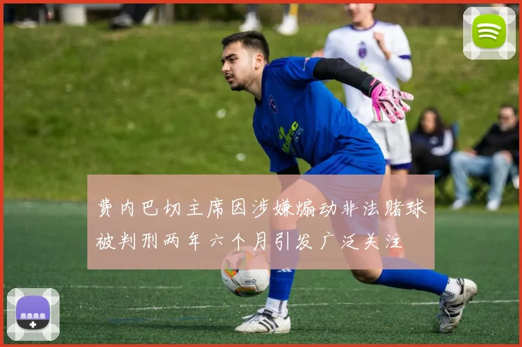 费内巴切主席因涉嫌煽动非法赌球被判刑两年六个月引发广泛关注