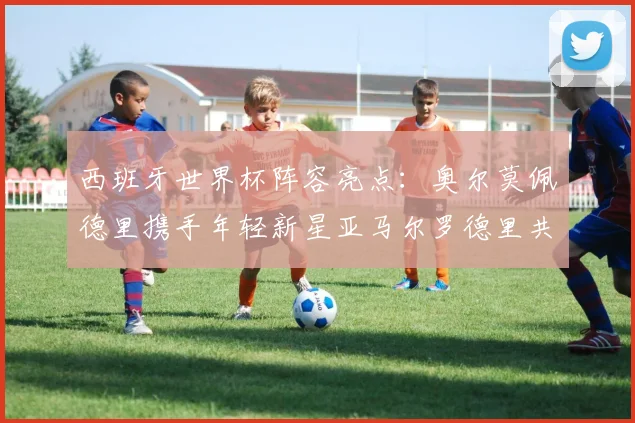 西班牙世界杯阵容亮点：奥尔莫佩德里携手年轻新星亚马尔罗德里共赴荣耀之战